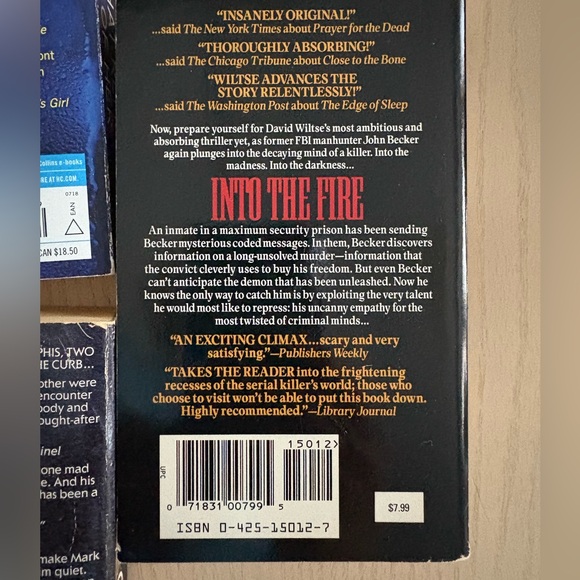 Collection of Mystery and Thriller Novels - Picture 9 of 9